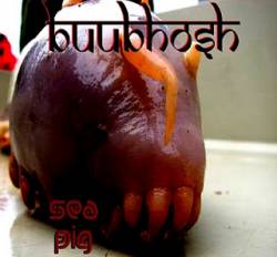 Buubhosh : 23 - Sea Pig